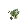 Modern Decorative Ornament Set With Green Leaf Plants In Black White Planters
