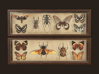 Flying Insects Detailed Vintage Framed Specimen Collection Featuring Butterflies And Beetles 3d model