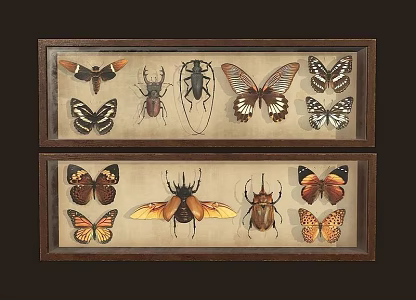 Insects 3d model