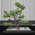 New Chinese style pine tree welcome pine and cypress rockery ornaments combination 3d model