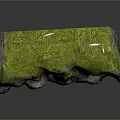 Green Moss Covered Natural Stone Rock with Gray Textured Surface and Reflective Base