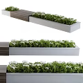 Outdoor Garden Decor With Rectangular Planter Boxes Green Plants White Flowers And Wooden Deck