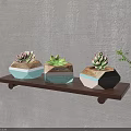 Bonsai Potted Succulents on Wooden Shelf with Hexagonal Blue White Green Pots and Green Leaves