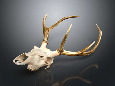 Detailed Deer Skull with Golden Antlers on Dark Background Decorative Art 3d model