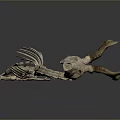 Animal Skeleton Home Decoration With Deer Antlers And Long Spine On Grey Surface