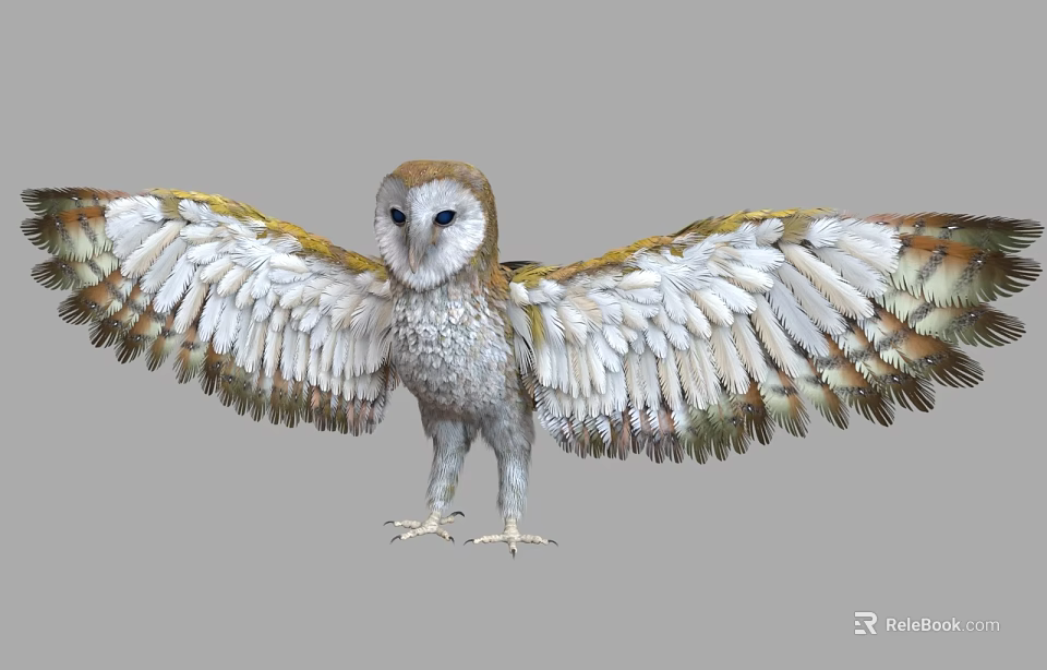 Owl With Spread Wings And White Brown Feathers Standing In Flight Posture 3d model 