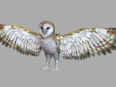 Owl With Spread Wings And White Brown Feathers Standing In Flight Posture 3d model