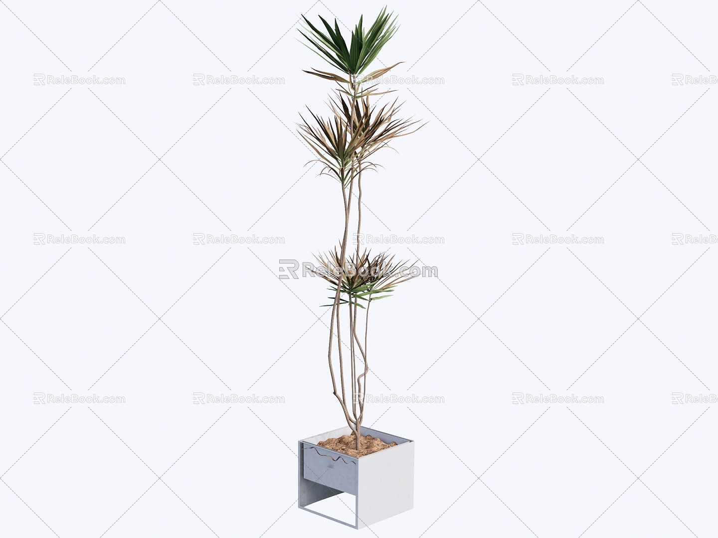 indoor potted plant 3d model