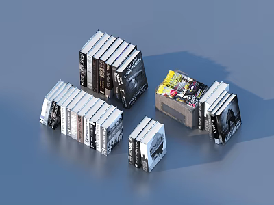 Stacked Books And Magazines With Various Covers In Black White And Colorful Styles 3d model