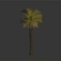 Lush Tropical Palm Tree With Green and Yellow Leaves And Brown Trunk