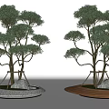 Decorative Tree Planter Design With Multi Branched Trees Stones Gray Concrete And Wooden Bases