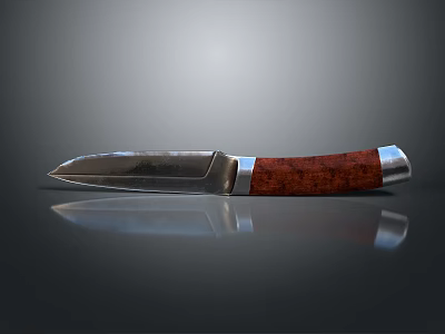 Tactical Weapon Knife With Metal Blade Red Wooden Handle And Silver Fitting On Reflective Surface 3d model