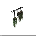 Lush Hanging Basket Plants With Trailing Green Vines And Indoor Decorative Accents