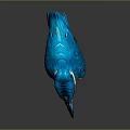 Vibrant Blue Kingfisher with Orange Belly Long Beak Red Feet on Dark Background Reflection