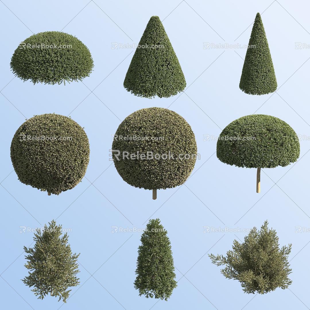 European Holly Garden Shrub 3d model