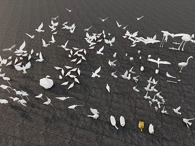 White Flying Animals Various Birds in Flight Formation Over Dark Surface 3d model