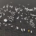White Flying Animals Various Birds in Flight Formation Over Dark Surface 3d model
