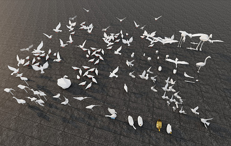 Modern pigeon flock 3d model