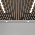 Modern Suspended Ceiling Designs With Black Grid Wooden Slats And Linear Lights