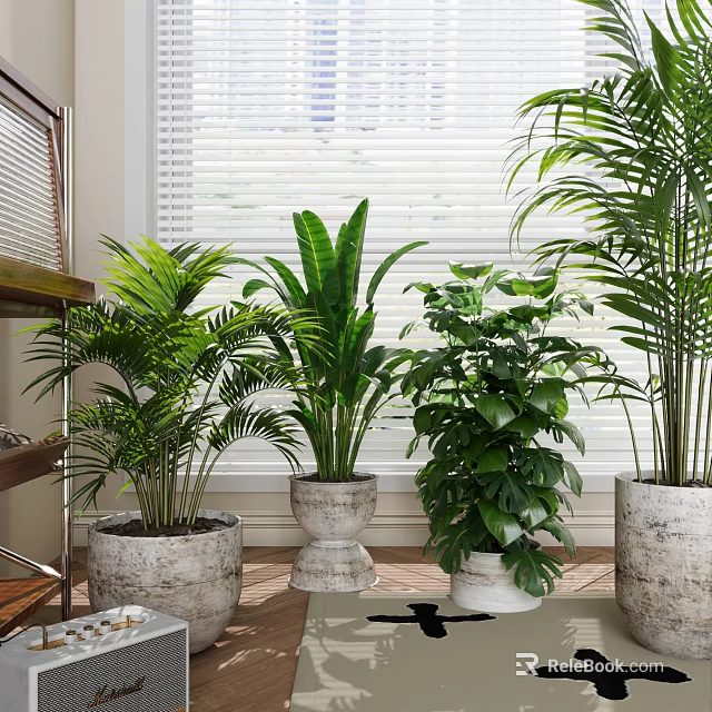 Indoor Decorative Potted Plants with Various Pots Near Window Blinds 3d model 
