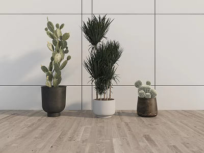Three Stylish Indoor Potted Plants With Different Sizes Shapes And Modern Containers For Home Decor 3d model