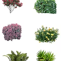 2D Plant Tree 3d model