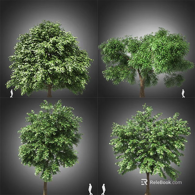 Various Arbor Types With Lush Green Foliage And Different Growth Forms 3d model