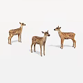 Three Spotted Fawns Standing Together in Lifelike Poses on White Background
