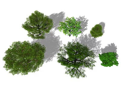 Different Arbor Varieties With Lush Green Foliage And Varied Canopy Shapes 3d model