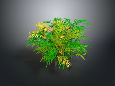Lush Tropical Shrub Plant With Green And Yellow Foliage Against Gray Background 3d model