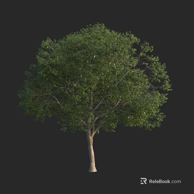 Lush Green Arbor with Dense Foliage and Thick Brown Trunk 3d model 