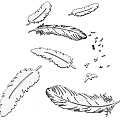 White Feathers and Flying Birds Design Wall Decor on Dark Background
