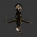 Detailed 3D Bird with Crest Open Wings Yellow Legs and Long Beak