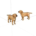 Two Cute Yellow Labrador Puppies Standing On White Background 3d model
