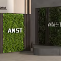 Modern Living Plant Walls With Wooden Frames Branding Letters And Gray Background