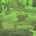Natural Rocky Canyon Scene With Stone Steps Gravel Ground And Green Vines