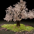 Pink Flowering Arbor with Green Grass and Scattered Petals in Bloom