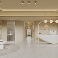 Cream wind beauty salon hall 3d model