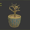 Potted Leafless Tree Plant In Blue Brown Geometric Pattern Pot With Gray Background