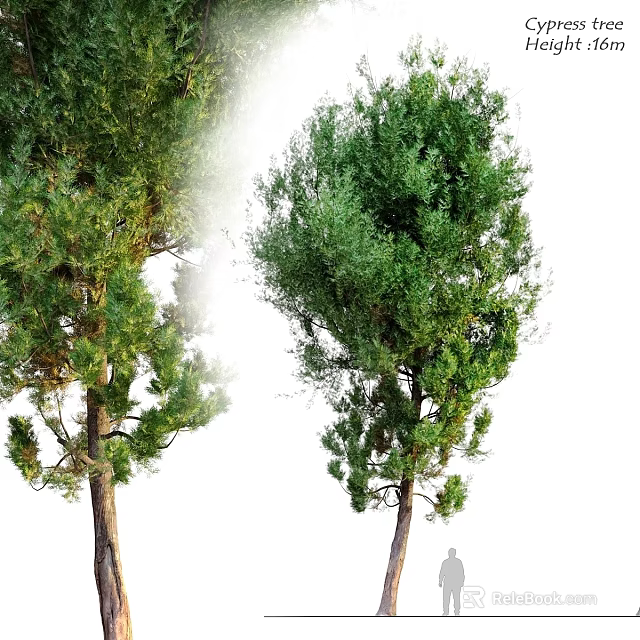 Green Tree Decorative Ornament Set With Two Natural Plant Designs For Home Decor 3d model 