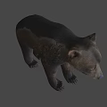 Realistic Brown Bear Game Movie Character With Furry Fur And Standing Stance
