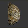 Natural Stone Wood Artifact With Hollow Hole And Brown Yellow Surface Texture