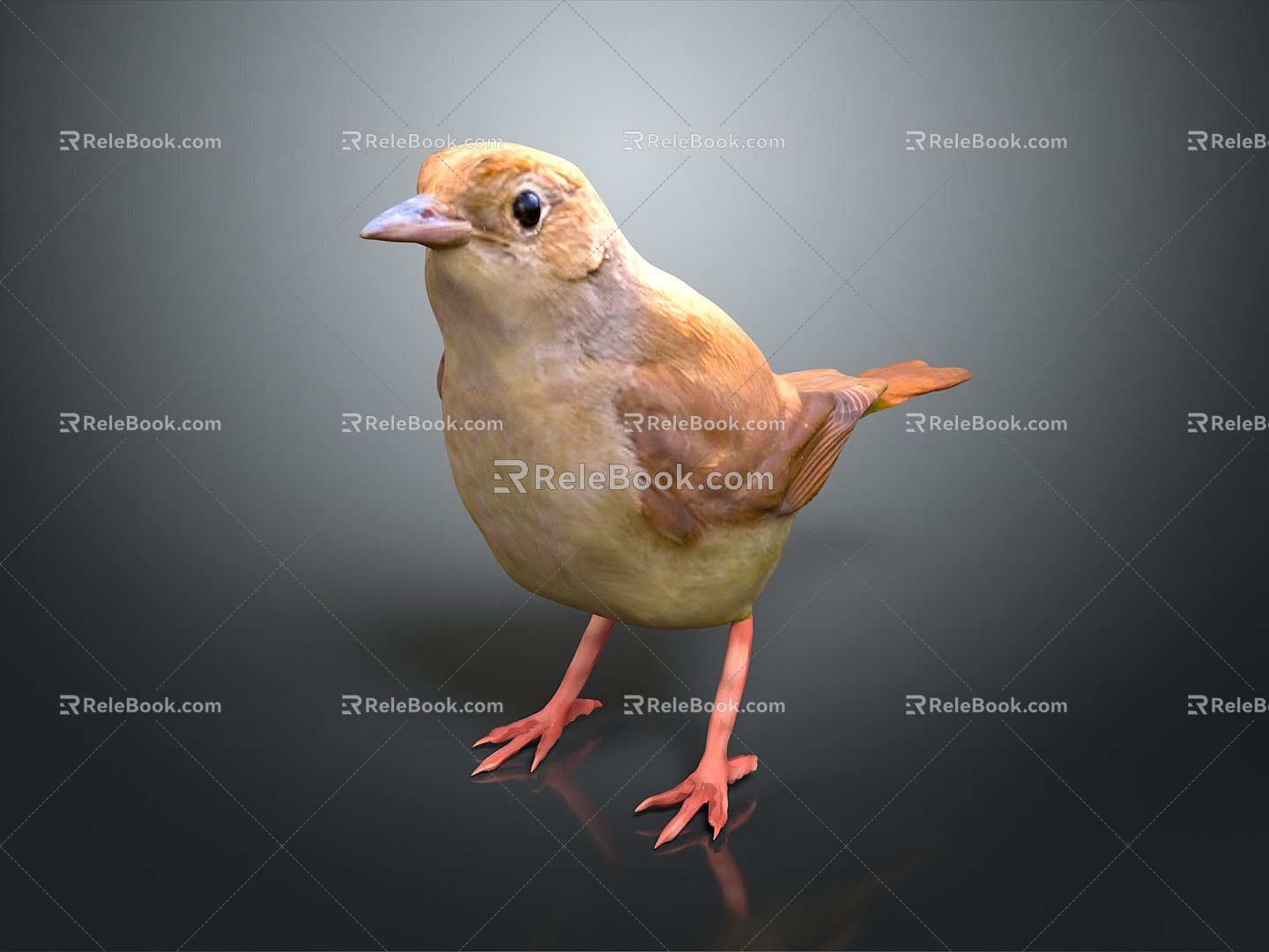 Peregrine Falcon Sparrow Pigeon Wingbird Pearl Bird Hummingbird Flamingbird Bird Bird Animal 3d model