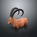 Detailed Brown Ibex Model With Large Curved Horns Standing On Neutral Gray Background