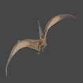 Detailed Pterosaur Model With Open Mouth Extended Wings And Realistic Texture