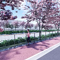 Scenic Park Landscape With Cherry Blossom Trees Jogger Green Path And Lush Plants