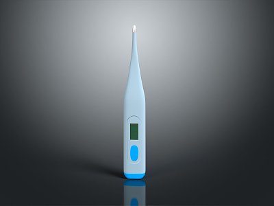 Electronic Thermometer Electronic Thermometer model