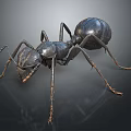 Detailed Metallic Ant Sculpture With Realistic Legs And Shiny Body Structure