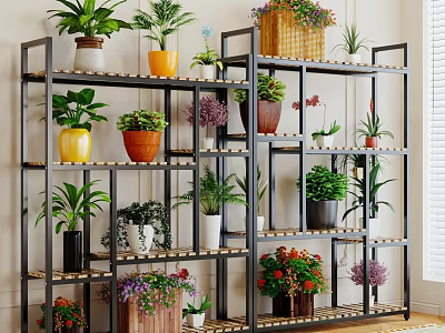 Indoor Potted Plants Display On Black Metal Shelves With Various Greenery And Colorful Pots 3d model