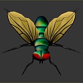 fly green head fly insect animal 3d model